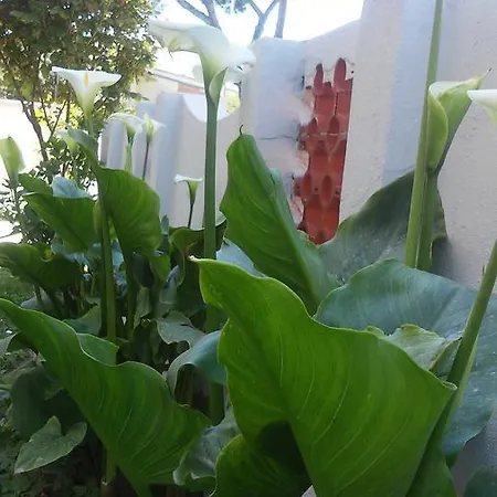Bed & Breakfast Florinda