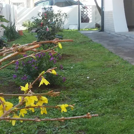 Bed and breakfast Florinda Viareggio