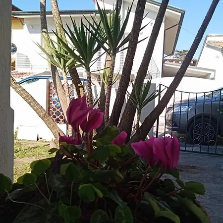 Bed & Breakfast Florinda